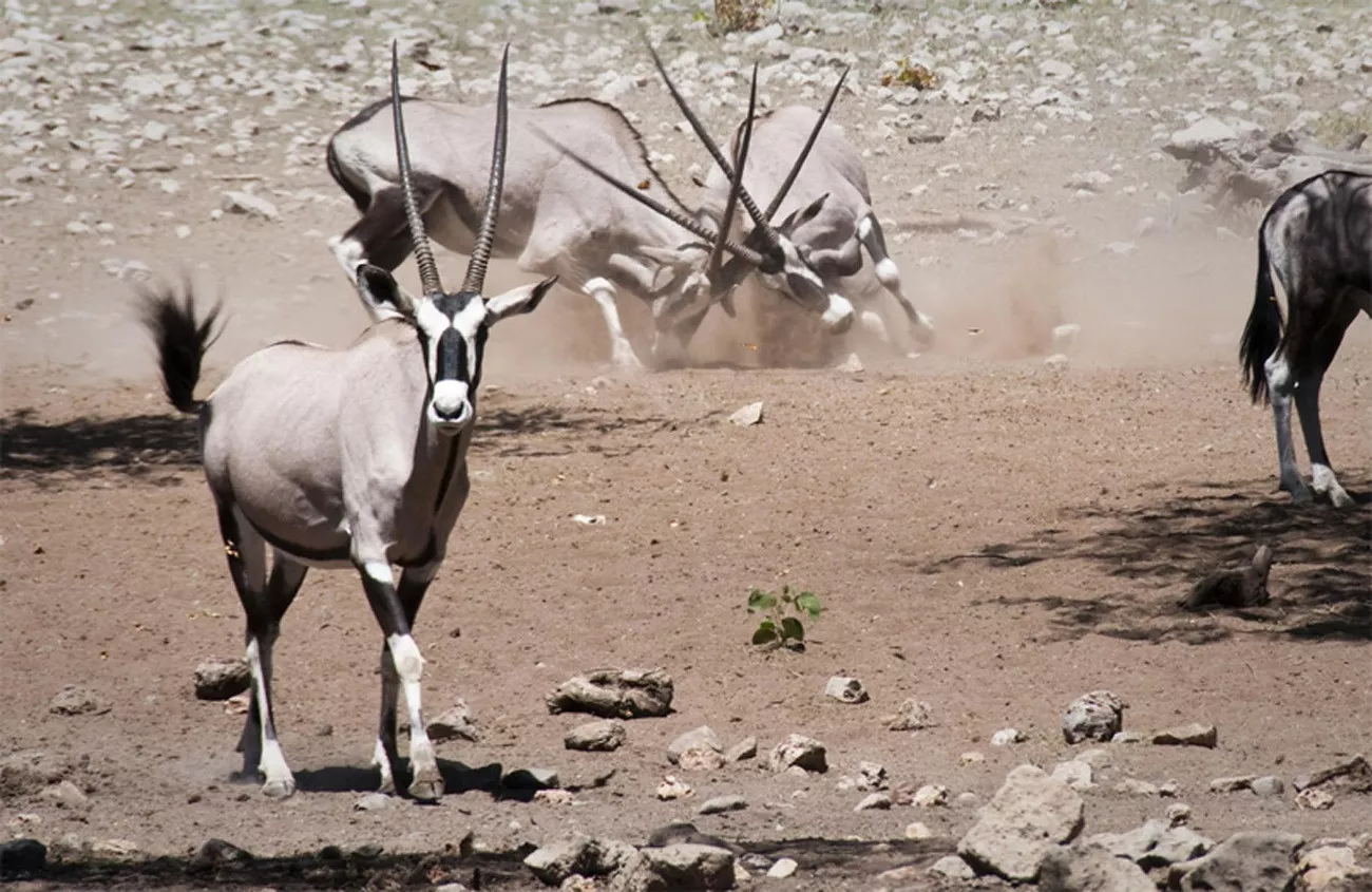 Namíbia Luxo by Wilderness